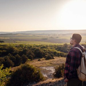 Read more about the article Quisque porta fringilla dolor,nec auctor orci